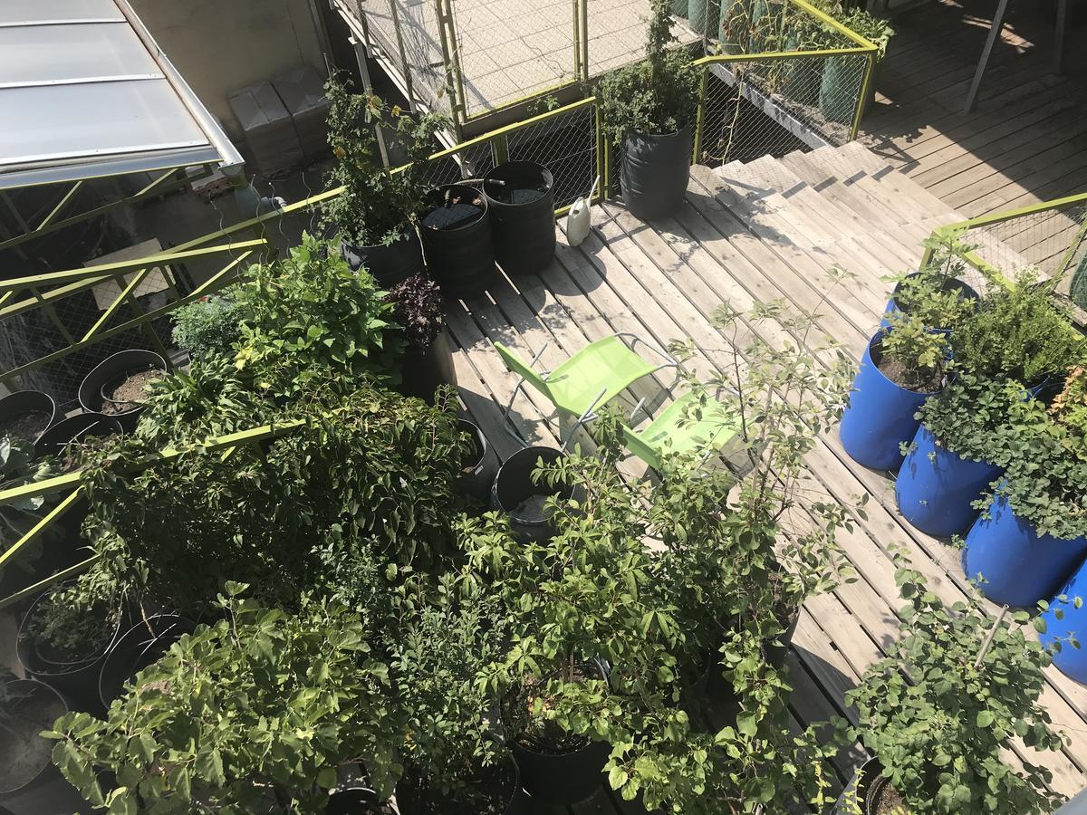 Wiener Gaeste Zimmer Εξωτερικό φωτογραφία